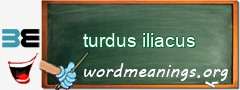 WordMeaning blackboard for turdus iliacus